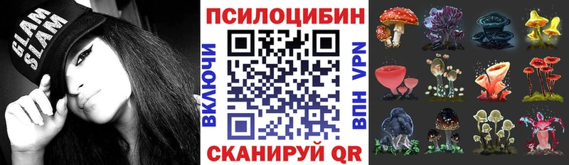 как найти Краснокаменск Псилоцибиновые грибы GOLDEN TEACHER